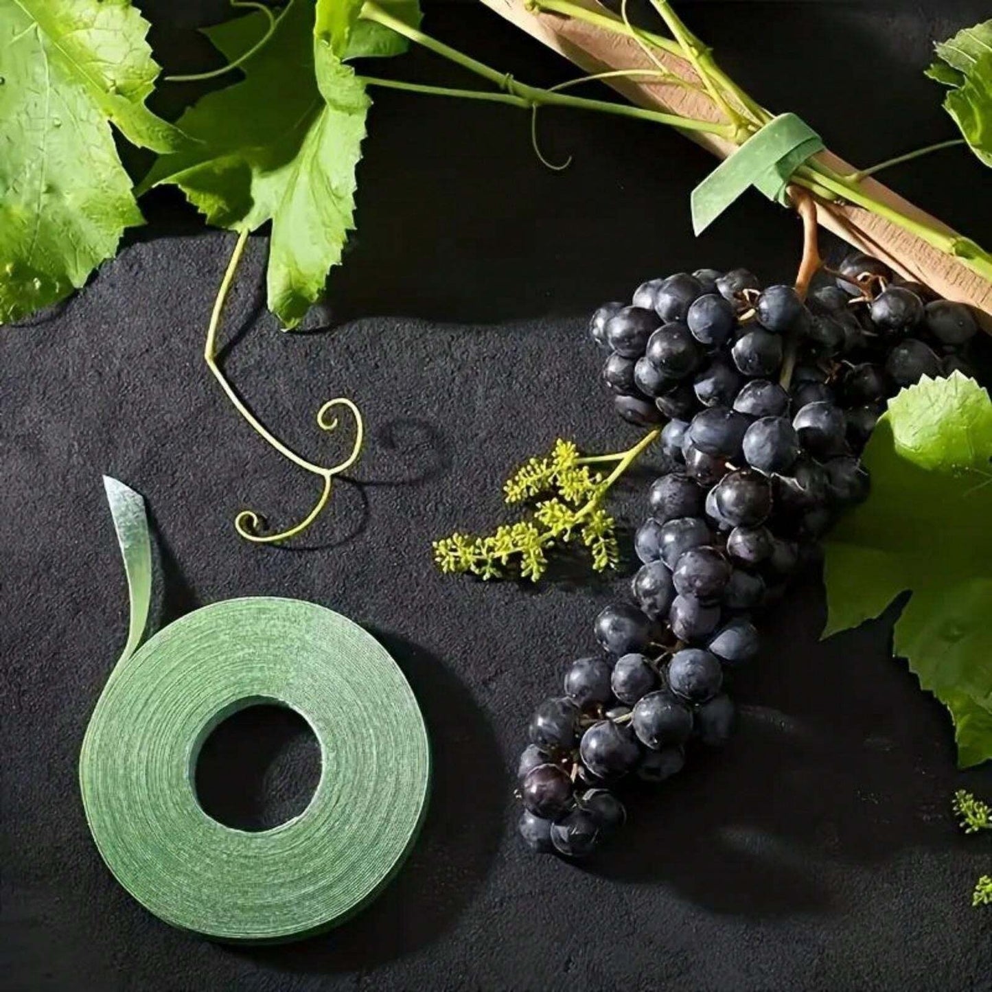 Piccolo gancio da giardino con chiusura a strappo, nastro con gancio e passante per fissare piante e rami d'albero, cintura per rami d'albero, accessori per fiori e piante da giardino, forniture per giardinaggio