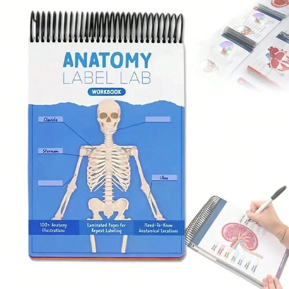 Quaderno di anatomia colorato con etichette e più di 100 pagine cancellabili - Guida di apprendimento essenziale per praticare la terminologia anatomica, con più di 100 diagrammi anatomici