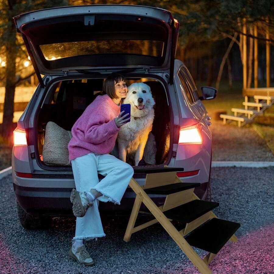 YUENFONG Rampa per cani 2 in 1, scala per animali domestici, scala per cani, pieghevole per gatti, cani grandi e piccoli, scala per animali in legno di pino
