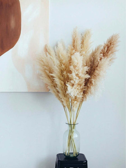 5/10/20 pezzi di fiori secchi di Pampas naturali alti 58 cm, profumo di erba da pampa per decorazione di matrimoni, feste, fattorie, case in stile bohémien, tavoli, vasi della sposa e damigelle, tavolo da pranzo