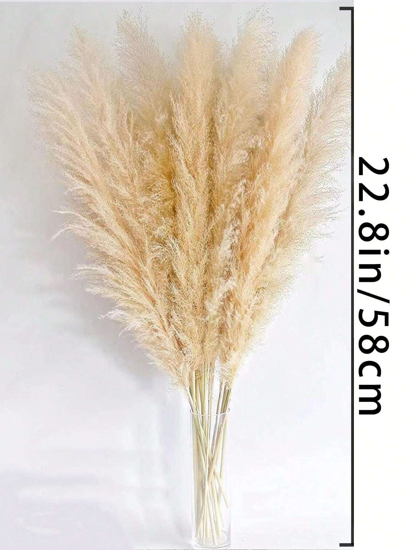 5/10/20 pezzi di fiori secchi di Pampas naturali alti 58 cm, profumo di erba da pampa per decorazione di matrimoni, feste, fattorie, case in stile bohémien, tavoli, vasi della sposa e damigelle, tavolo da pranzo