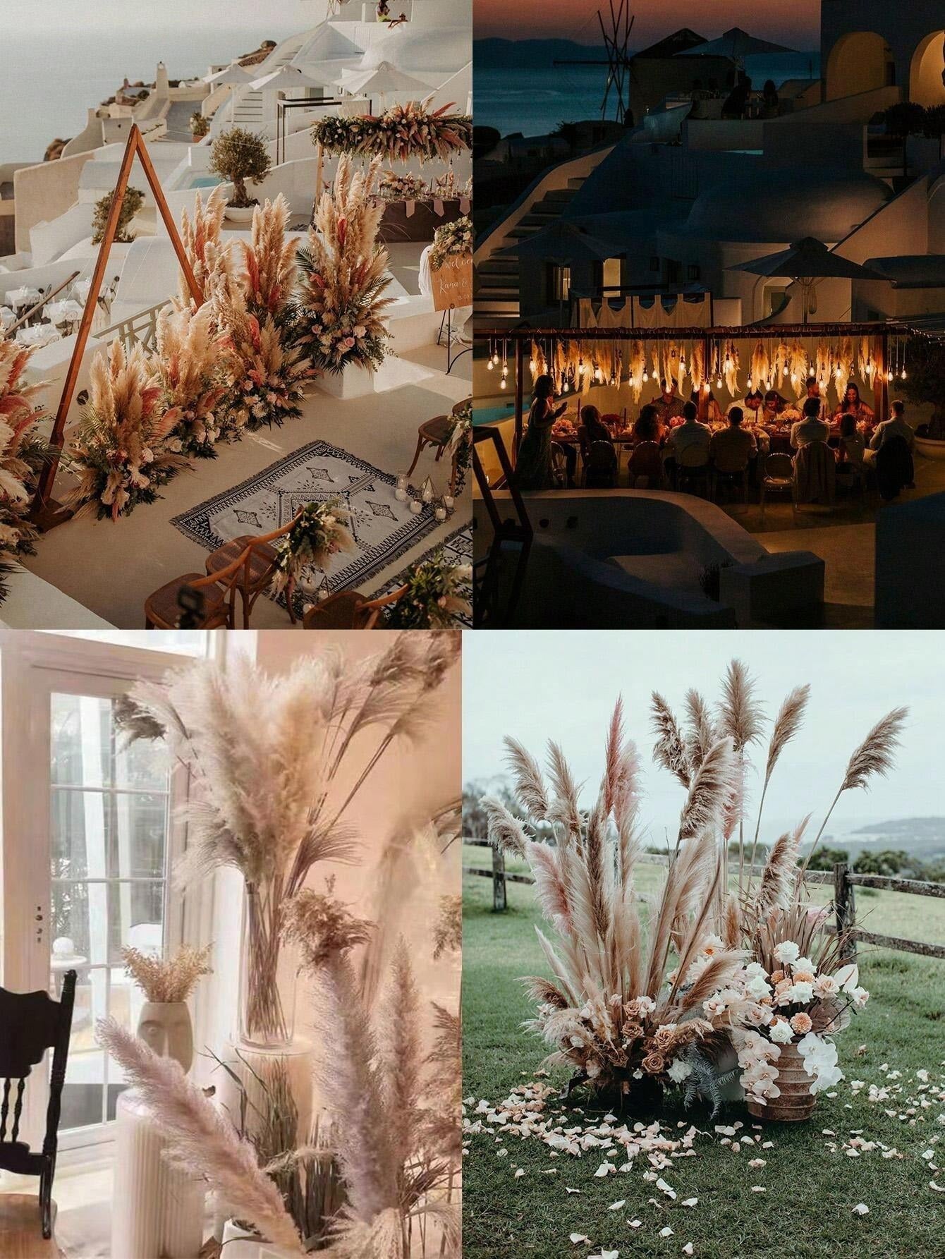 5/10/20 pezzi di fiori secchi di Pampas naturali alti 58 cm, profumo di erba da pampa per decorazione di matrimoni, feste, fattorie, case in stile bohémien, tavoli, vasi della sposa e damigelle, tavolo da pranzo