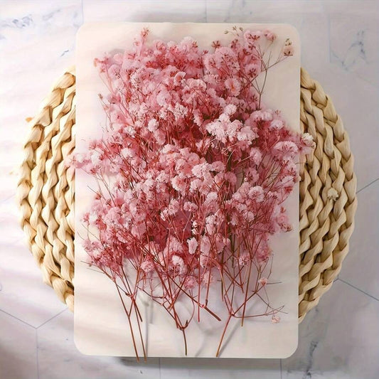 Elegante mazzolino di fiori di gypsophila rosa chiaro essiccati - delicati fiori avorio per riempire vasi, decorazioni per matrimoni, casa, ufficio, feste, giardino, biglietti, bricolage e composizioni floreale