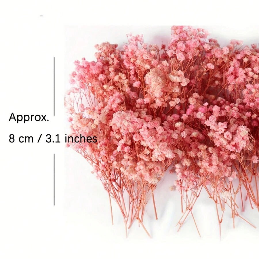Elegante mazzolino di fiori di gypsophila rosa chiaro essiccati - delicati fiori avorio per riempire vasi, decorazioni per matrimoni, casa, ufficio, feste, giardino, biglietti, bricolage e composizioni floreale