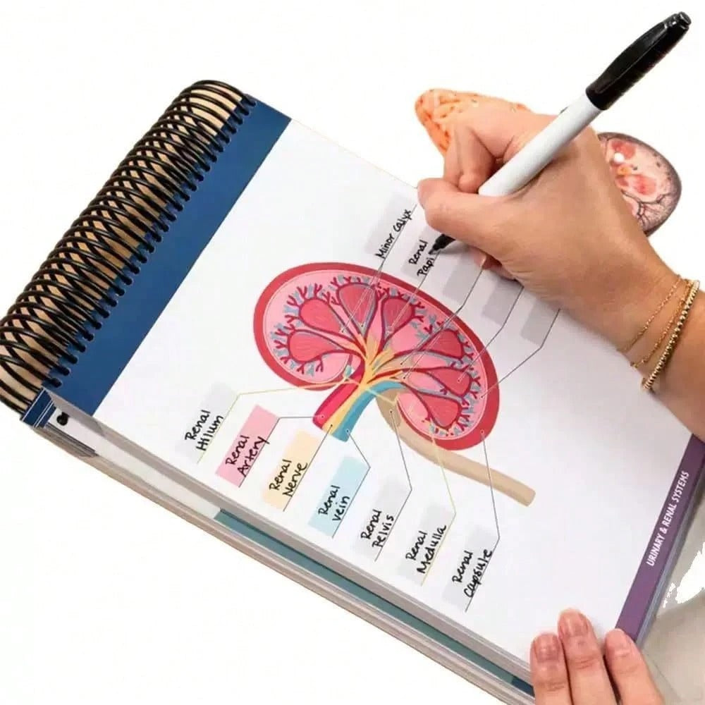 Quaderno di anatomia colorato con etichette e più di 100 pagine cancellabili - Guida di apprendimento essenziale per praticare la terminologia anatomica, con più di 100 diagrammi anatomici