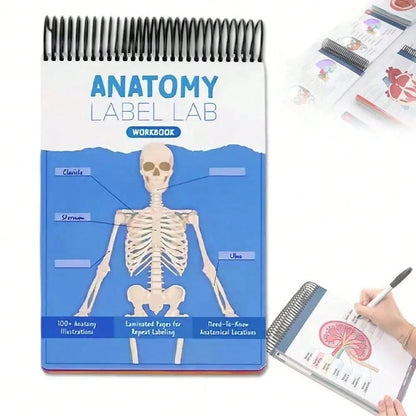 Quaderno di anatomia colorato con etichette e più di 100 pagine cancellabili - Guida di apprendimento essenziale per praticare la terminologia anatomica, con più di 100 diagrammi anatomici