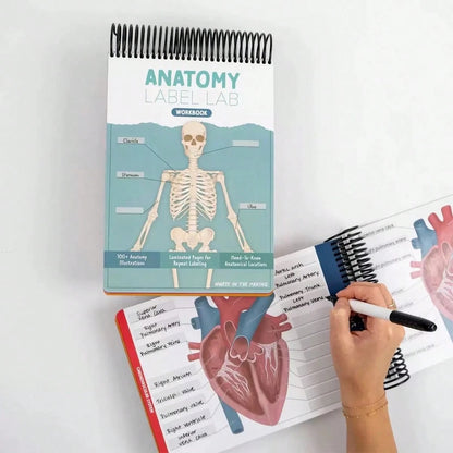 Quaderno di anatomia colorato con etichette e più di 100 pagine cancellabili - Guida di apprendimento essenziale per praticare la terminologia anatomica, con più di 100 diagrammi anatomici
