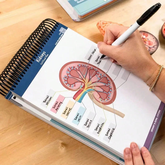 Quaderno di anatomia colorato con etichette e più di 100 pagine cancellabili - Guida di apprendimento essenziale per praticare la terminologia anatomica, con più di 100 diagrammi anatomici