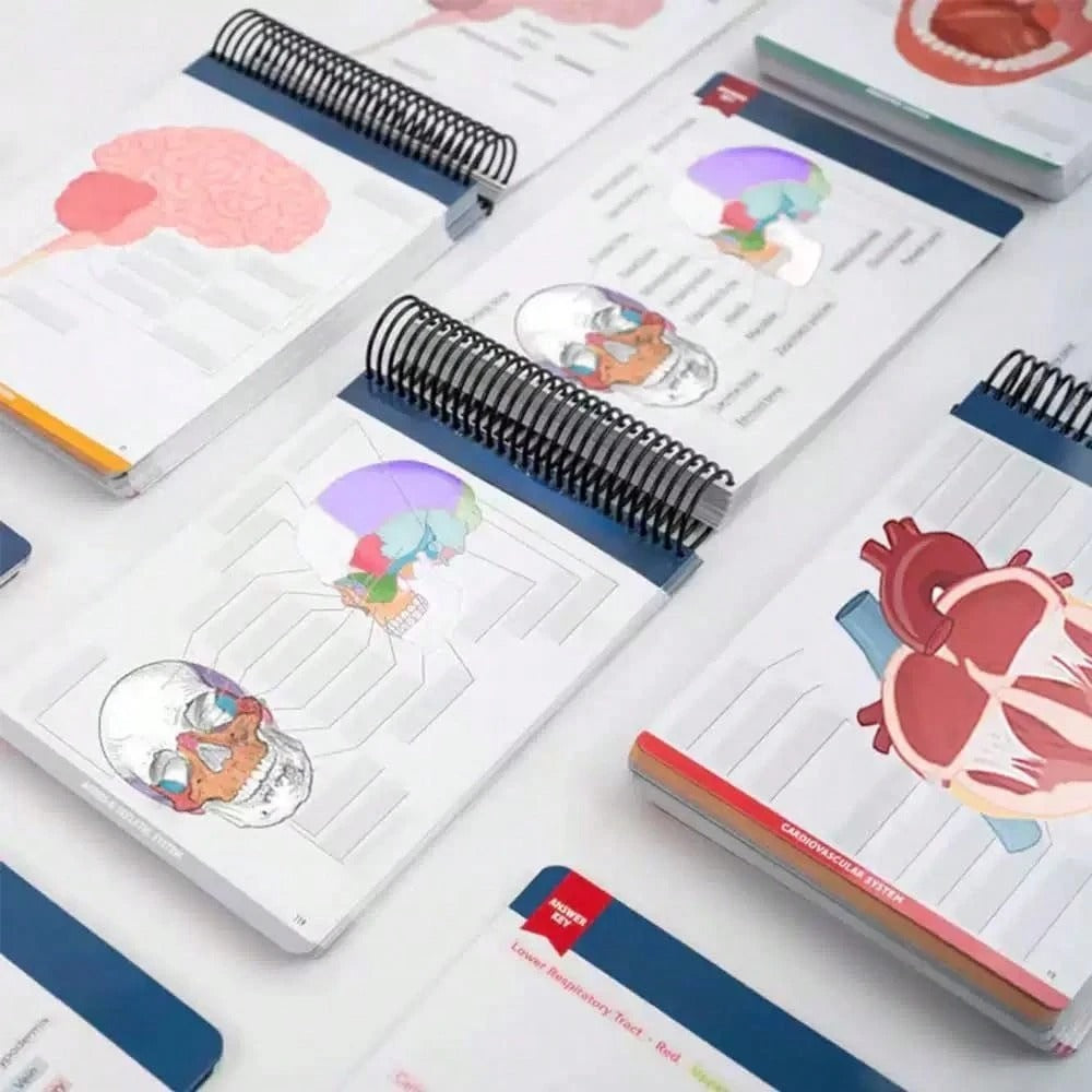Quaderno di anatomia colorato con etichette e più di 100 pagine cancellabili - Guida di apprendimento essenziale per praticare la terminologia anatomica, con più di 100 diagrammi anatomici