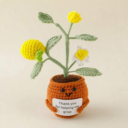 Pianta in vaso ispirante, decorazione floreale lavorata a mano all'uncinetto, pianta in miniatura, nontiscordardime, mughetto, calendula, girasole, biglietto di incoraggiamento caldo fatto a mano