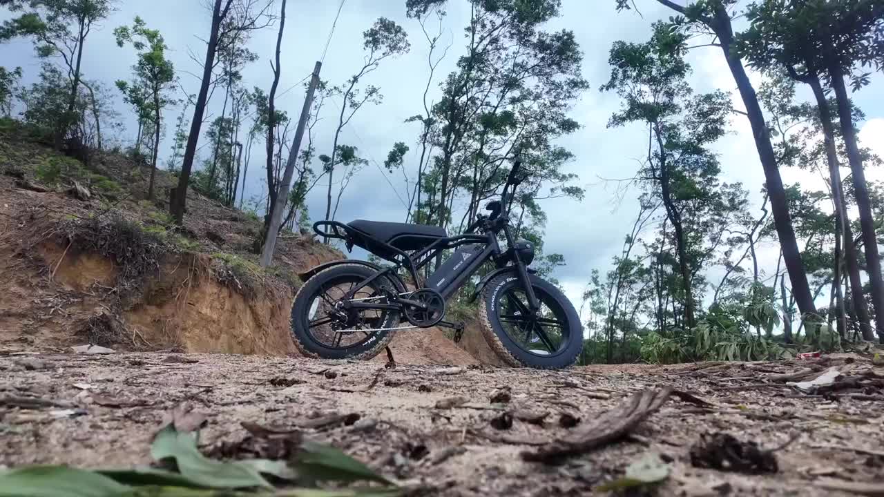 Bici elettrica per pneumatici grassi da 200 W per adulti, batteria grande 48 V 18 Ah, 100-240 V, freno a disco meccanico, mountain bike fino a 20 velocità, faro traslucido a LED, bici elettrica da montagna
