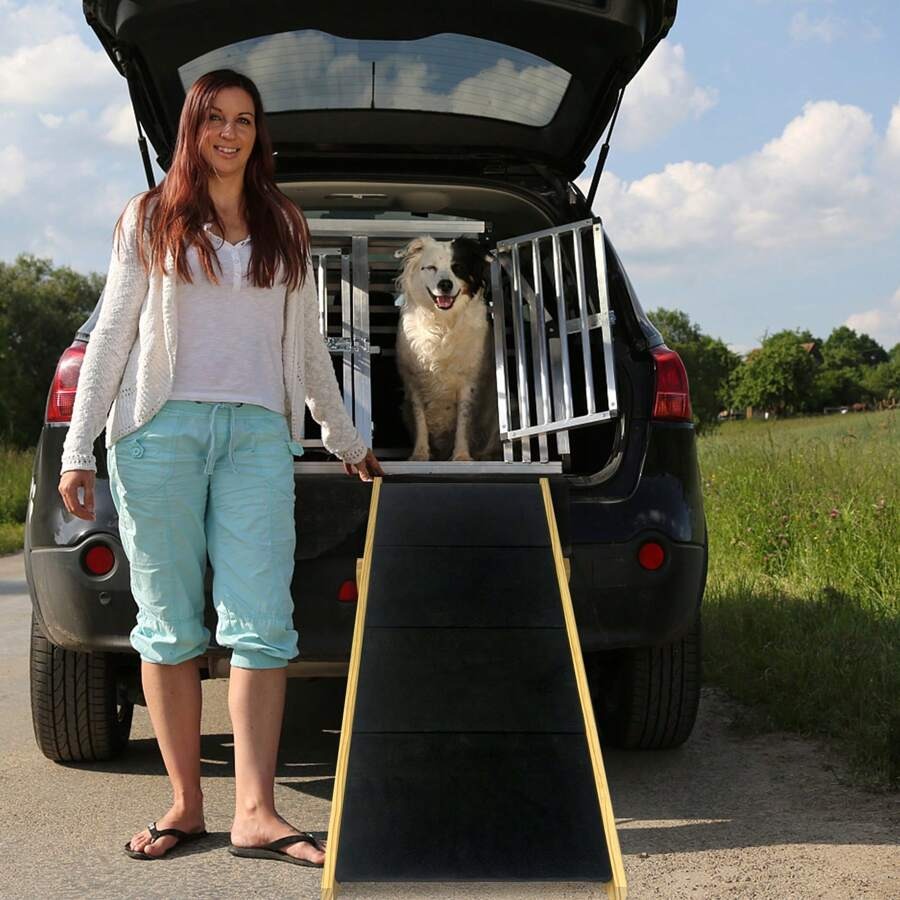 YUENFONG Rampa per cani 2 in 1, scala per animali domestici, scala per cani, pieghevole per gatti, cani grandi e piccoli, scala per animali in legno di pino