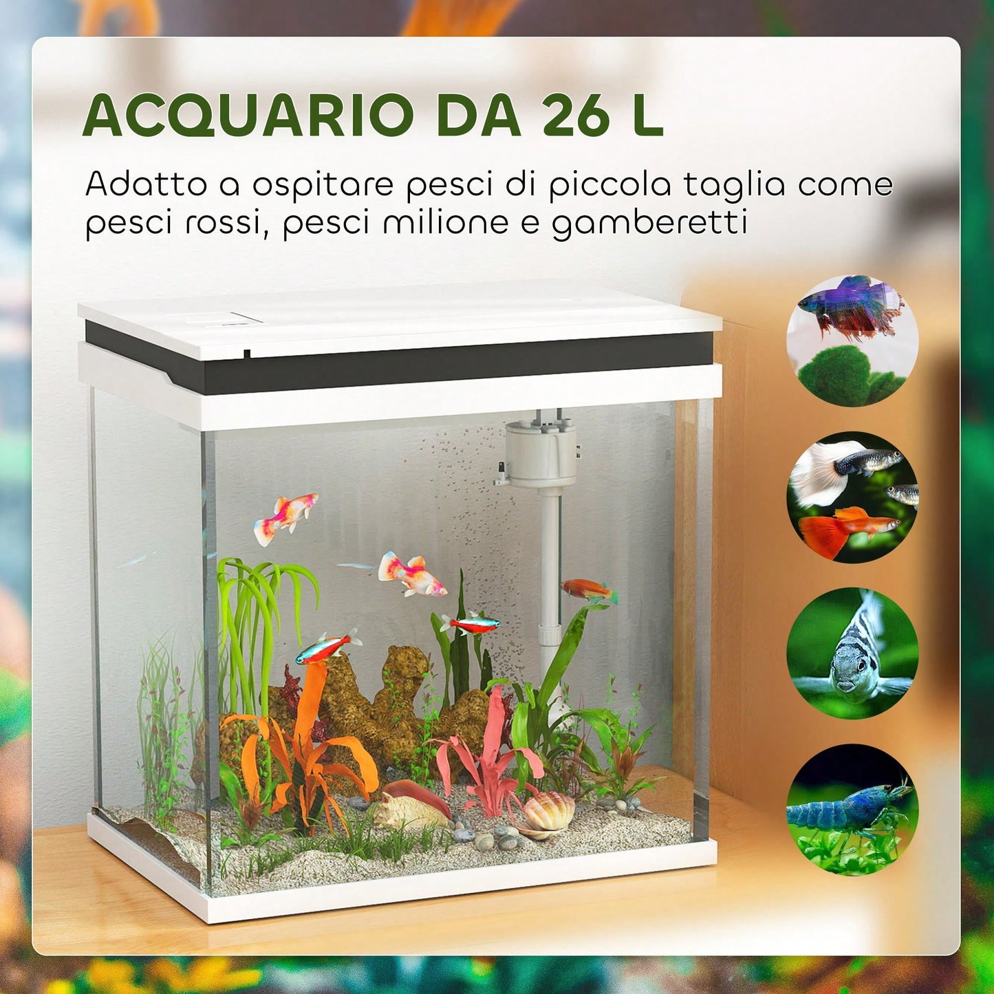 PawHut 26L Acquario in Vetro per Pesci Rossi con Illuminazione LED, Acquario Completo con Filtro e Pompa d'Acqua, Vaschetta per Pesci Acqua Tropicali, 38x26x38 cm, Bianco