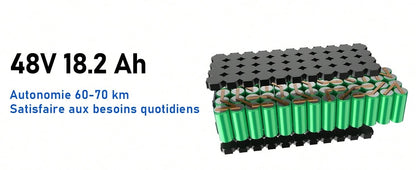 Todimart Monopattino elettrico TODIMART X5 per adulti, motore brushless da 800 W, batteria da 48 V 18,2 Ah, autonomia massima 75-80 km, pneumatici fuoristrada da 10 pollici in grado di gestire pendenze di 25°